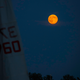 Illustration for article titled 21 Super Photos Of The Super Moon
